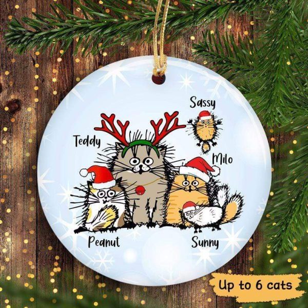 Funny Cat Snow Background Christmas Personalized Circle Ornament Supply