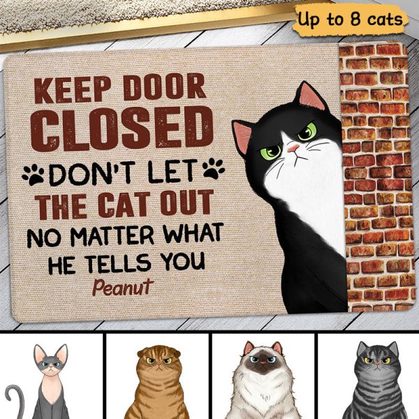 Brick Wall Sassy Cats Keep Door Closed Personalized Doormat Hot on Sale - Image 2