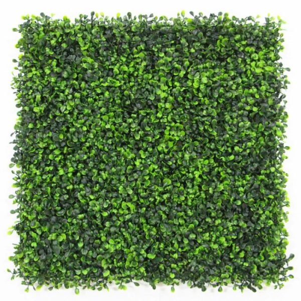 Conor 12 - Piece Plant Artificial Boxwood Hedge Set 7638RR Online - Image 3