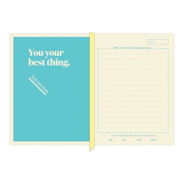 Knock Knock : I’m Kind of Awesome Inner-Truth® Journal (Ombre Version) Sale - Image 5